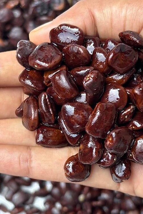 81TMaOXajeL._AC_UF1000,1000_QL80_