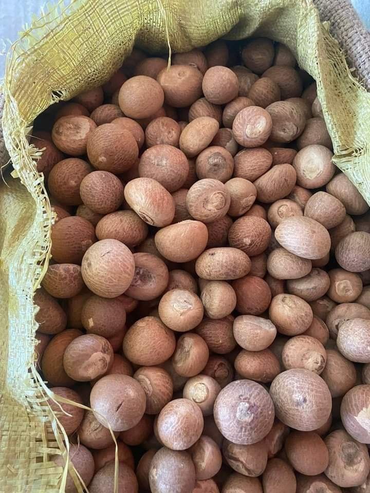 betel-nuts-wholesale