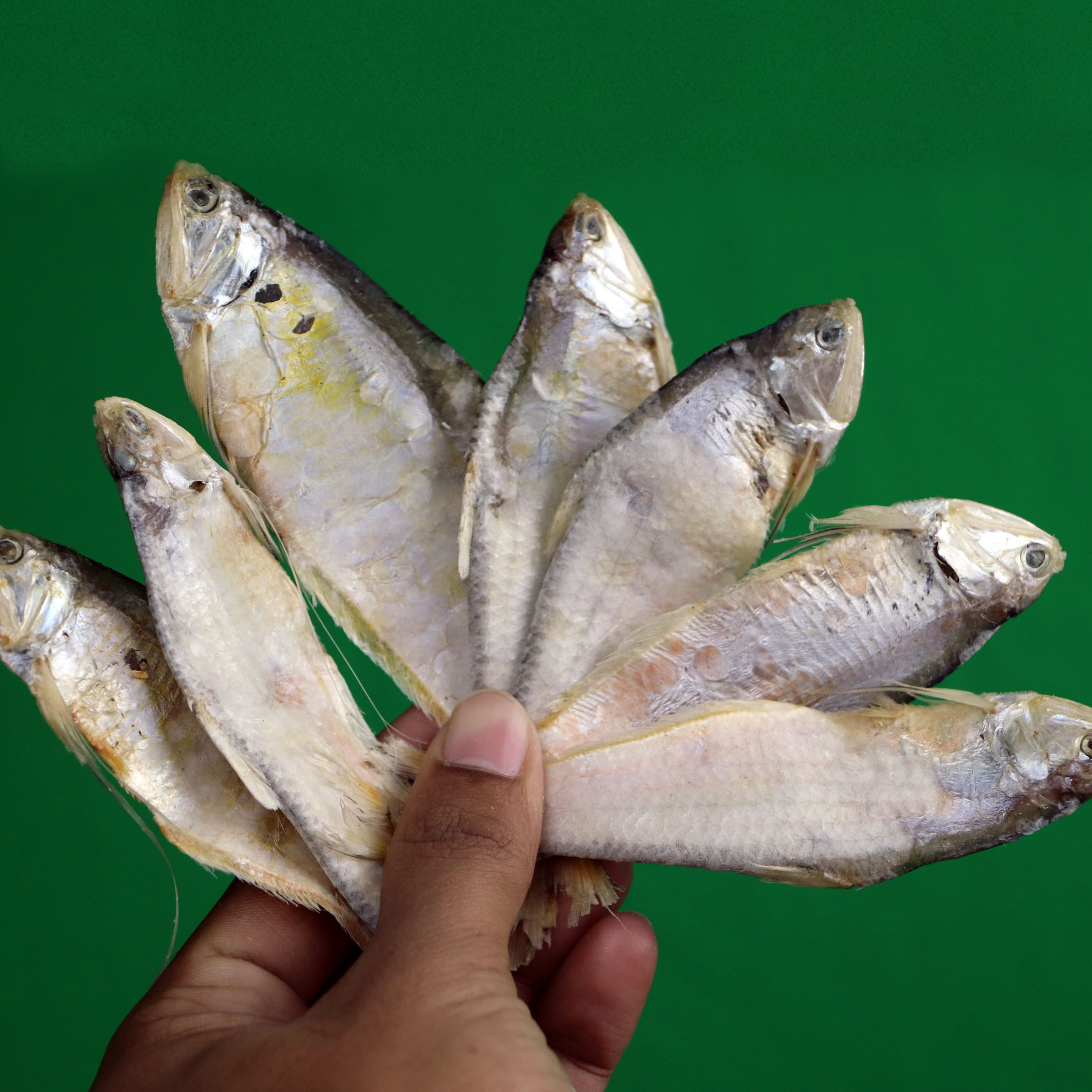 অর্গানিক-ফাইস্যা-শুটকি-১-কেজি-Organic-Faisha-Shutki-1-Kg-1-1