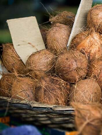 1.-Dhivehi-news-website-1-19-800x468