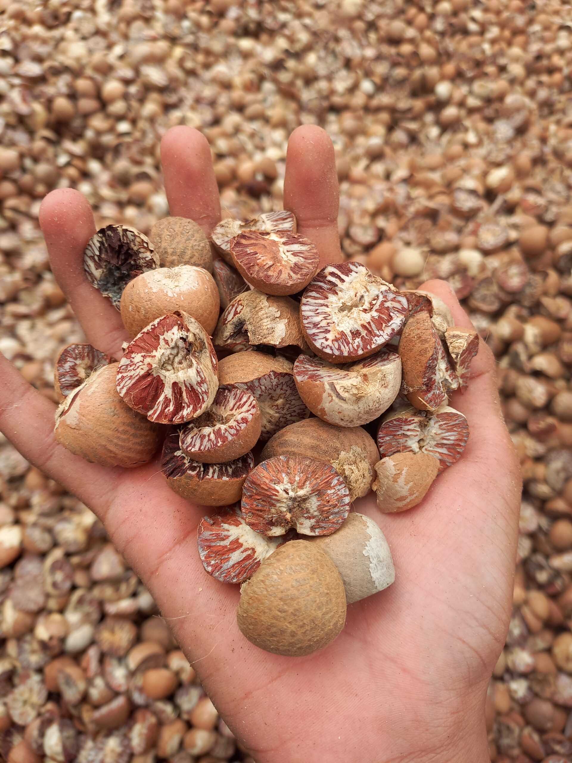 1671800475__20220517_110115