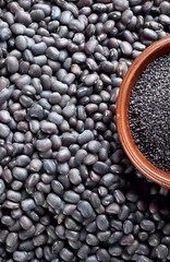 240_F_1800607514_wYiaQ0ijTYa3RYdUZzHTcOV9Ilsxxl11