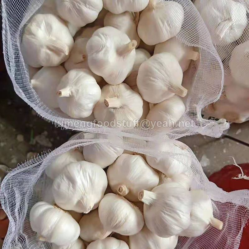 5accf76582a4f7499b4a46713eb793b9