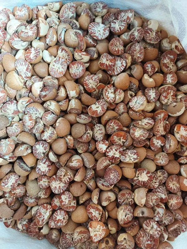 64b82899cd551f0046ef2f78_lg