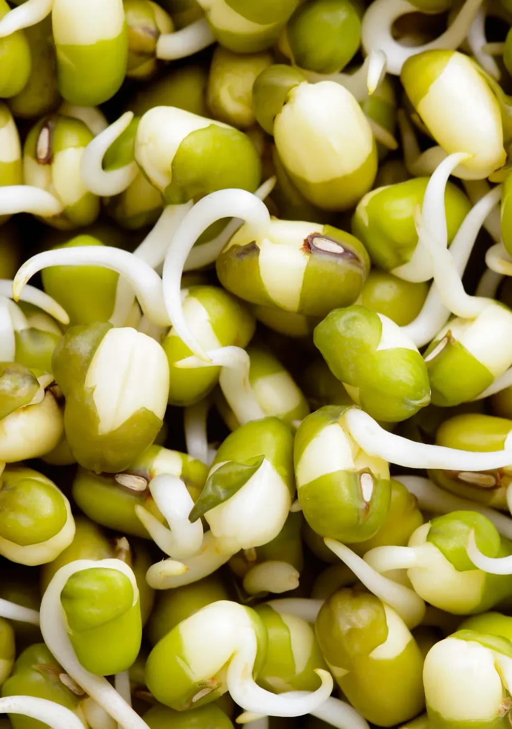 GettyImages-157726216