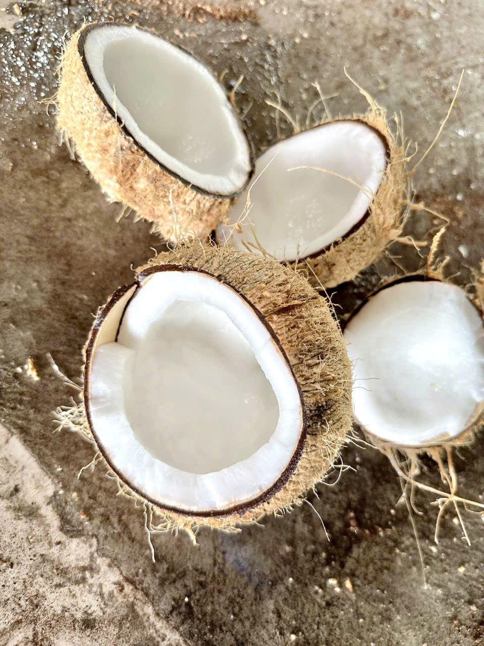 WhatsApp Image 2026-01-31 at 1.45.56 AM