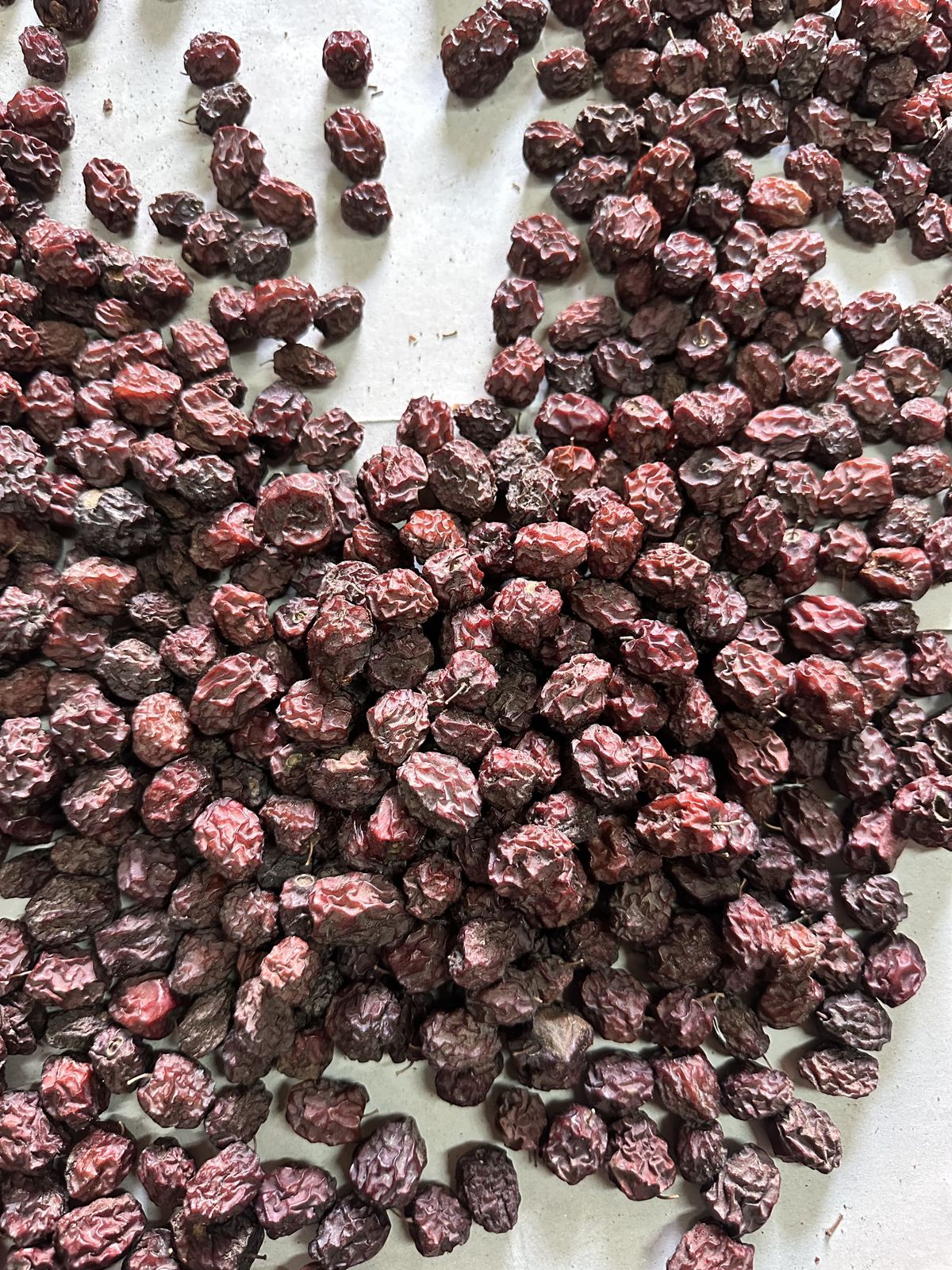 WhatsApp Image 2026-01-31 at 1.46.06 AM