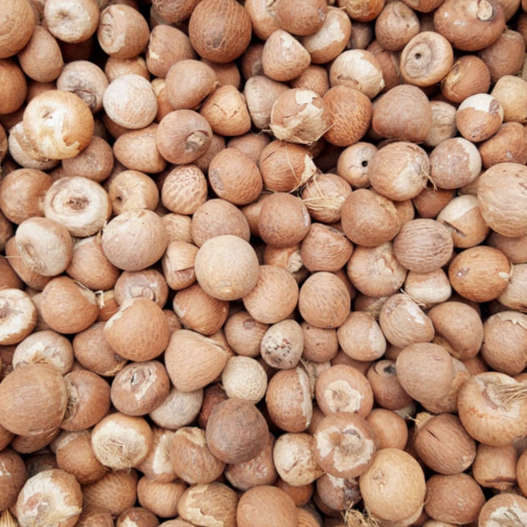 smn-whole-betelnut-arecanut-1