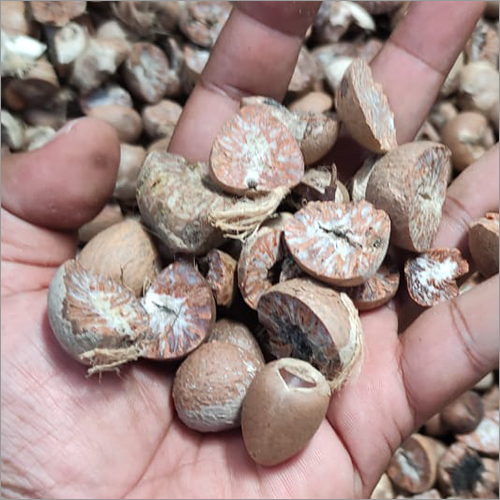 split-betel-nut