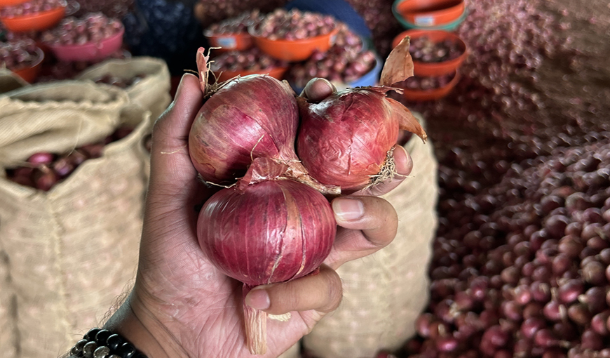 wholesale-onion-exporter